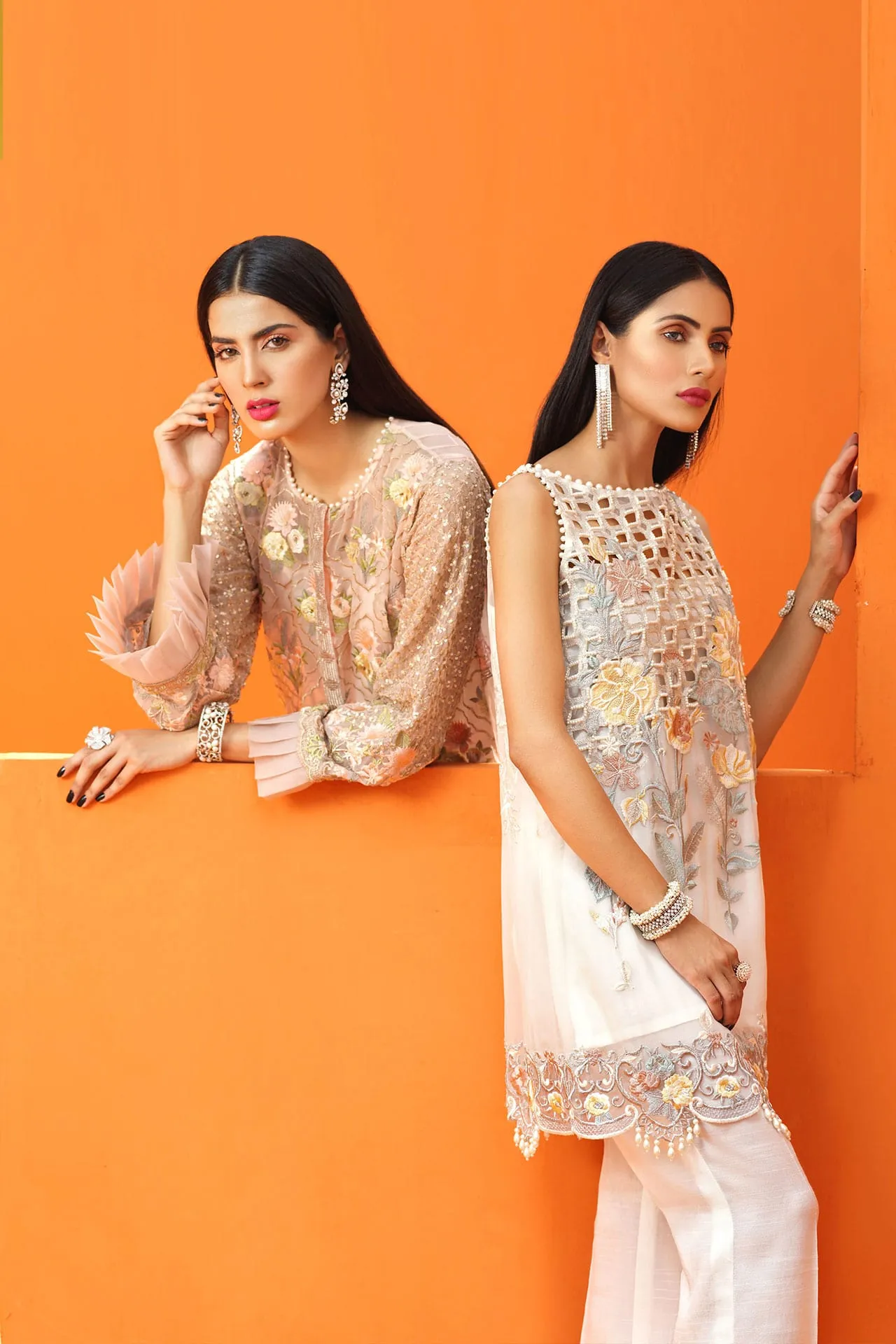 Beautiful Pakistani fancy dress with price # P2615